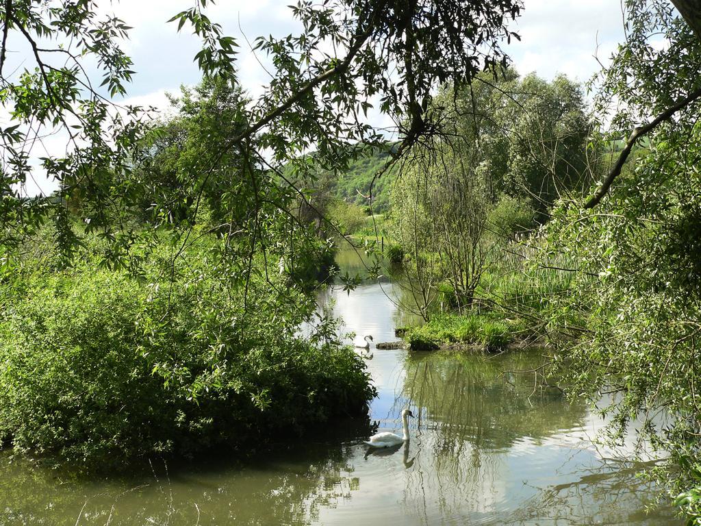 Ibis Budget Mantes-La-Jolie Eksteriør billede