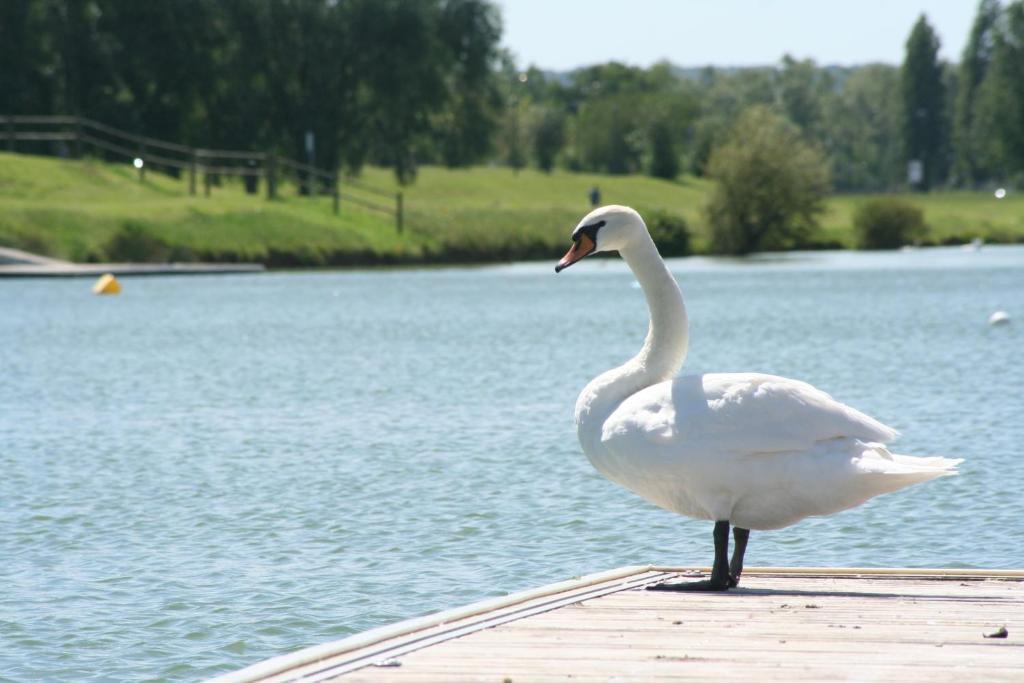 Ibis Budget Mantes-La-Jolie Eksteriør billede